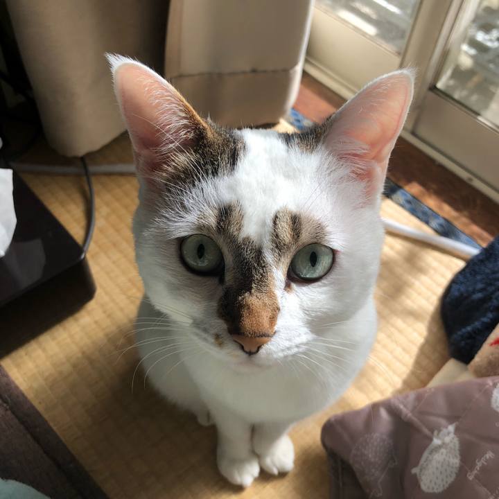 385b3089 f920 4a43 b7b0 385c617aa7b2 1540350958571