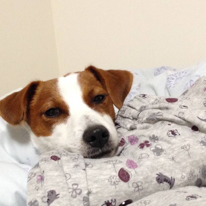 385b3d7e 2c52 4ba8 bbbd c8f689cf3bea 1509015549783