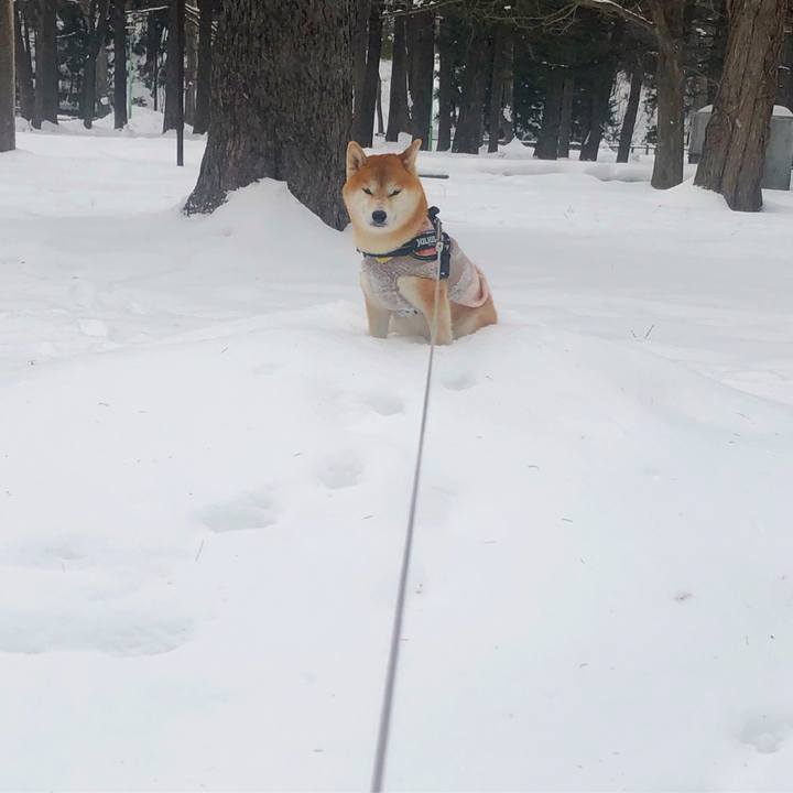 385b55cb 257e 4d43 a82a be30f1bc8433 1548037891299