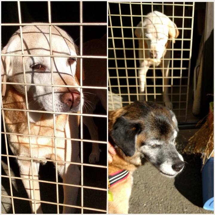 385b5912 f421 4769 8370 6019e30447c8 1540770477658