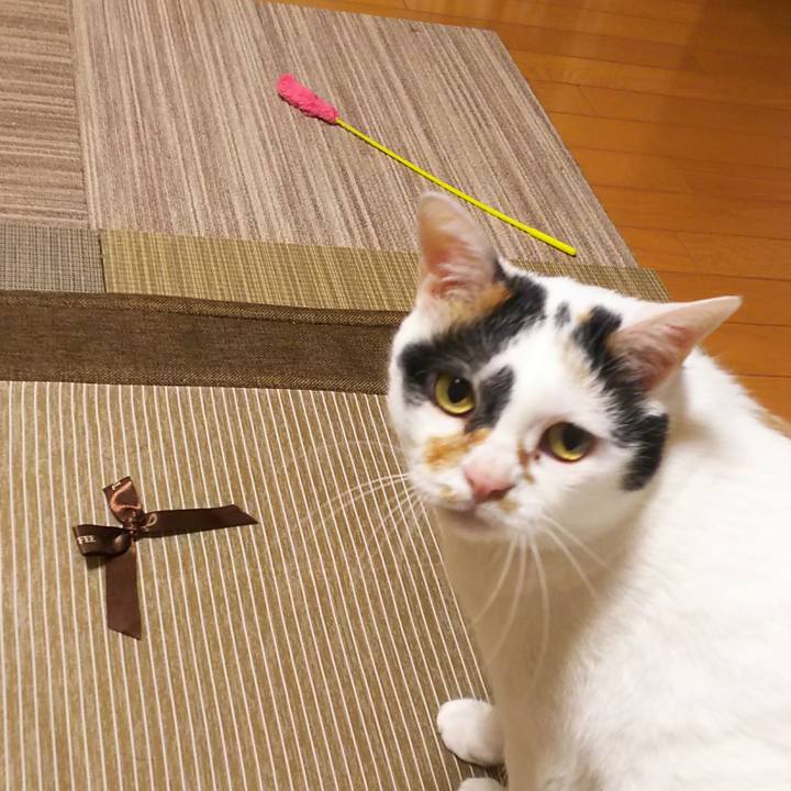 385ba0f4 4803 4950 8d6f 0bea5f2c5f24 1559732570269