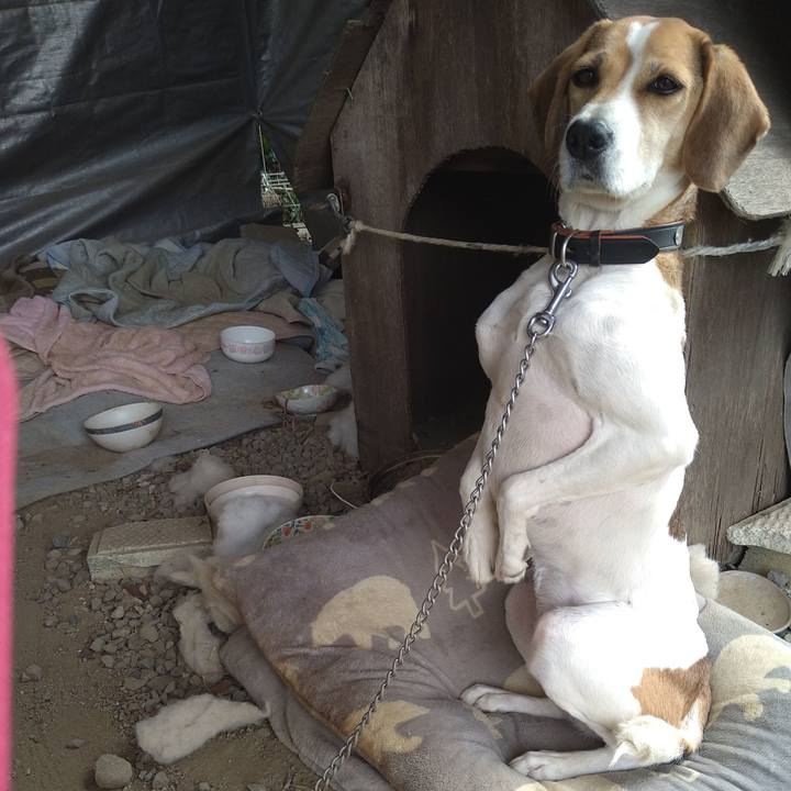 385bd9d9 36b7 479b bc51 1d34cd463d5a 1636174322052