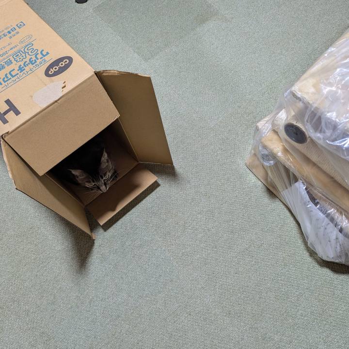 385bfd6d 77d4 4881 a5bf e77338de29e2 1757835491045