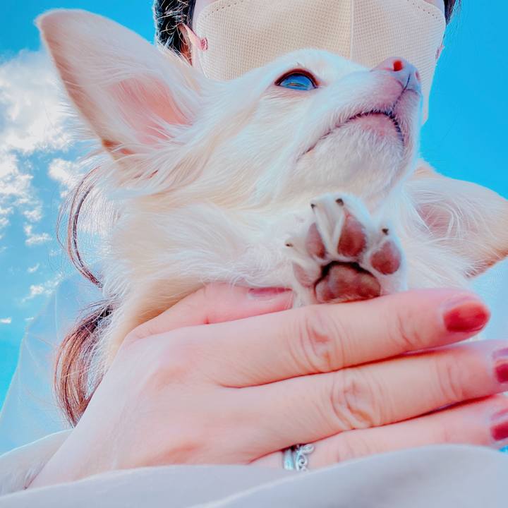 385c0497 ee39 4b8b 823d 321ea0069145 1668578416473