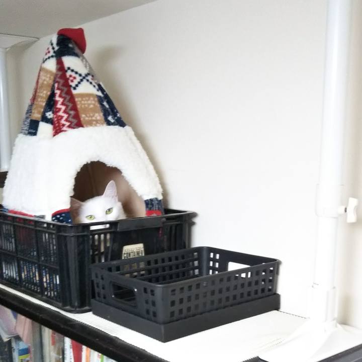 385c6b72 067a 43f3 9eb6 2b78737fe483 1639128553149