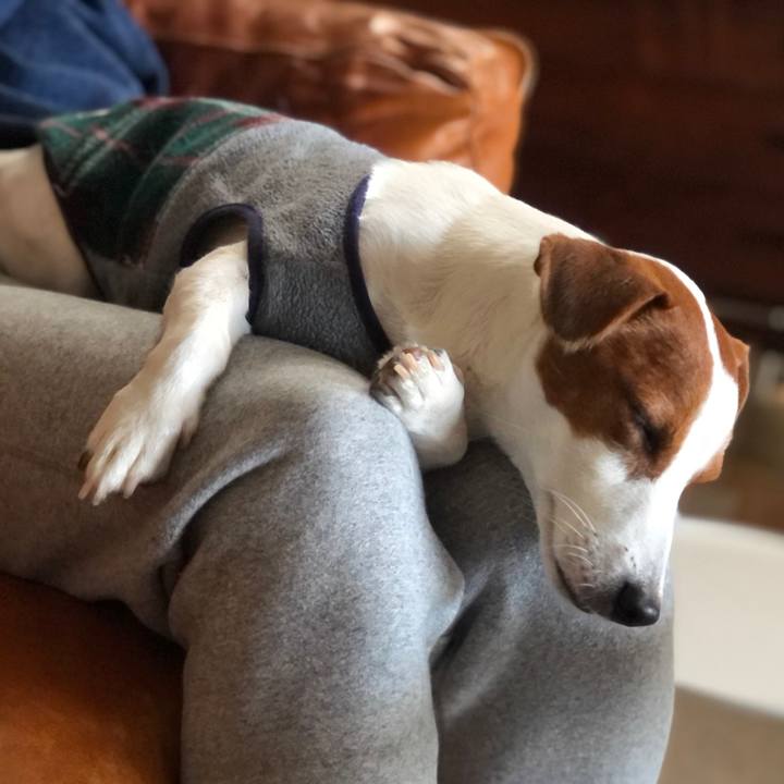 385c6e29 2bd5 4920 99f2 eed97ba5285b 1606373330088