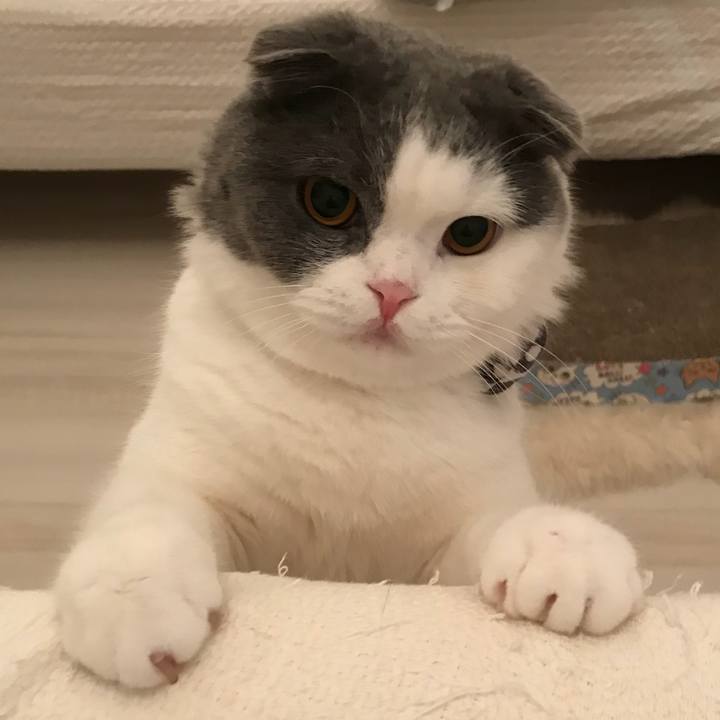 385c8525 6674 4e15 9cb2 39db027e0c26 1529333386814