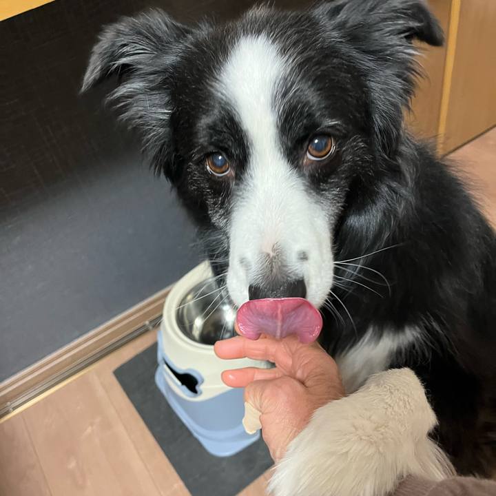 385c9236 4194 4b19 b07a 96b23b59b0f7 1770764289558