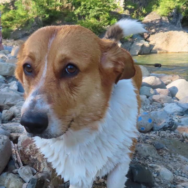 385ca289 20ae 445c 8f2c fc6da160df8d 1661128281473