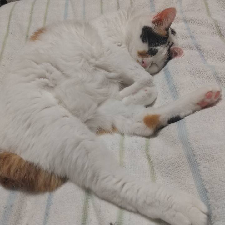 385cafe4 687a 4988 80bd 9213f79184e2 1669040568510