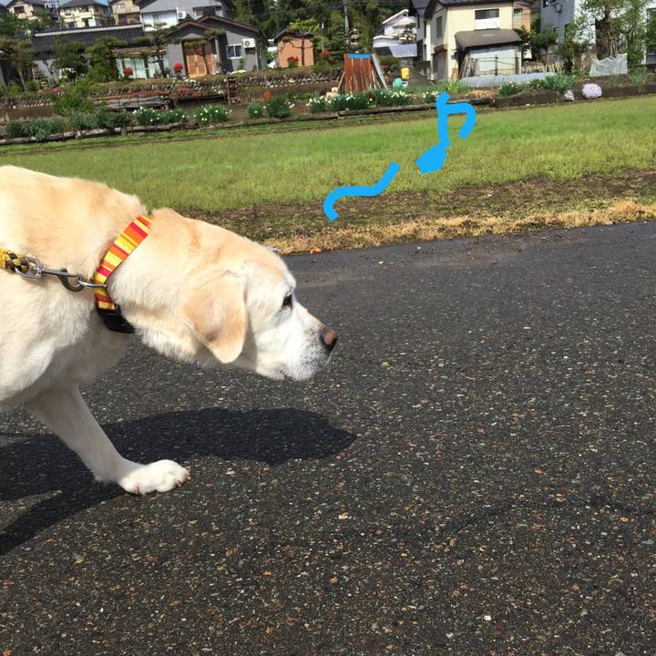 385cdbb1 92a1 459c a6fe beb5e25e6208 1525394058431