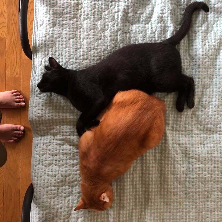 385cddb9 da4e 44bf 9b28 3593b32fe555 1691275163389