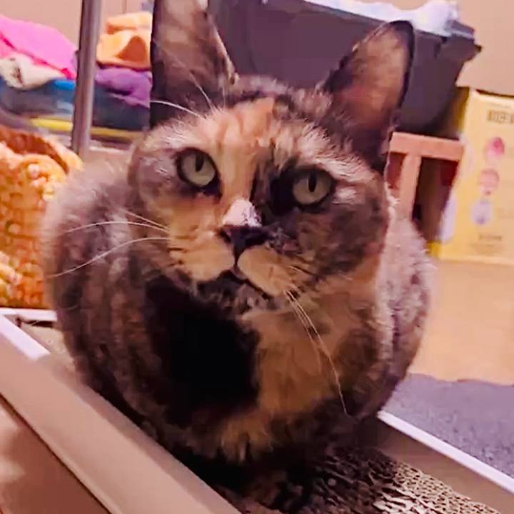 385d2284 480c 4ab3 8666 03cf6520b207 1762030857276