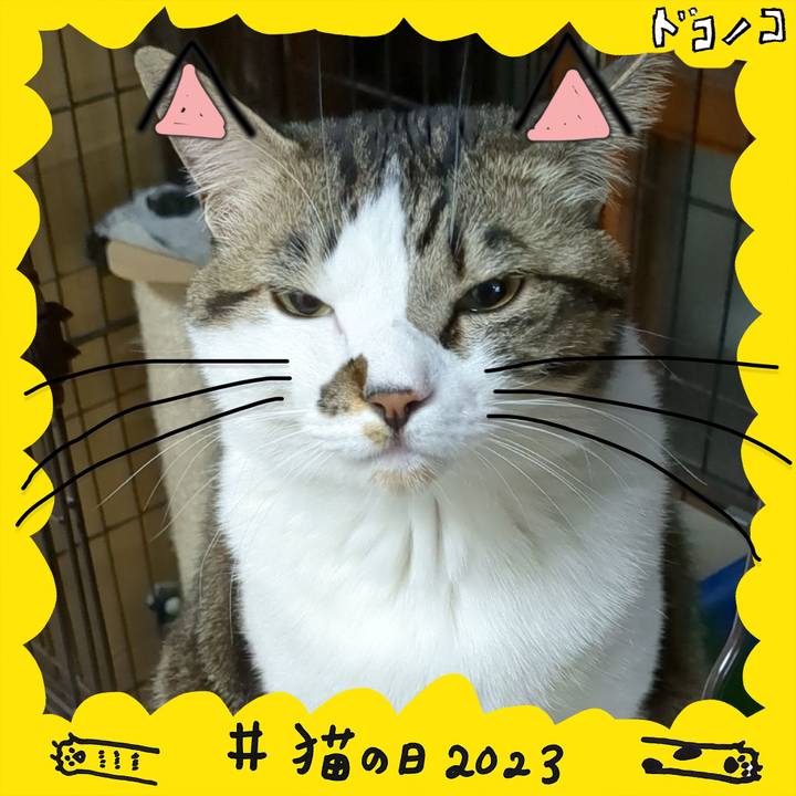 385d3ae8 1fd3 4791 8c6a 81f68ce35e0c 1677021772228