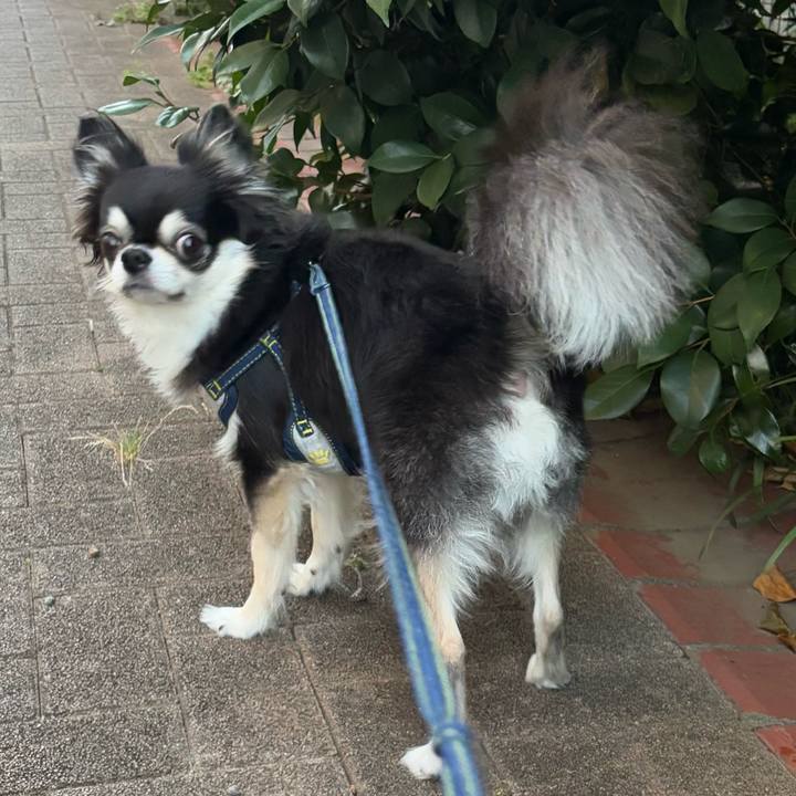 385d3ee6 c1af 4dcd a080 ae62dfede46f 1753632745466