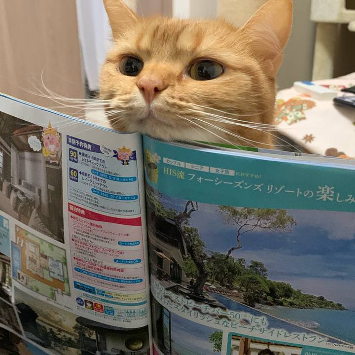 385d5815 f88b 40ce 83f9 a0509688d5a2 1581854016271