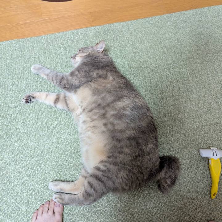 385d5c0a b832 4983 b861 cc47642516c4 1742715536341