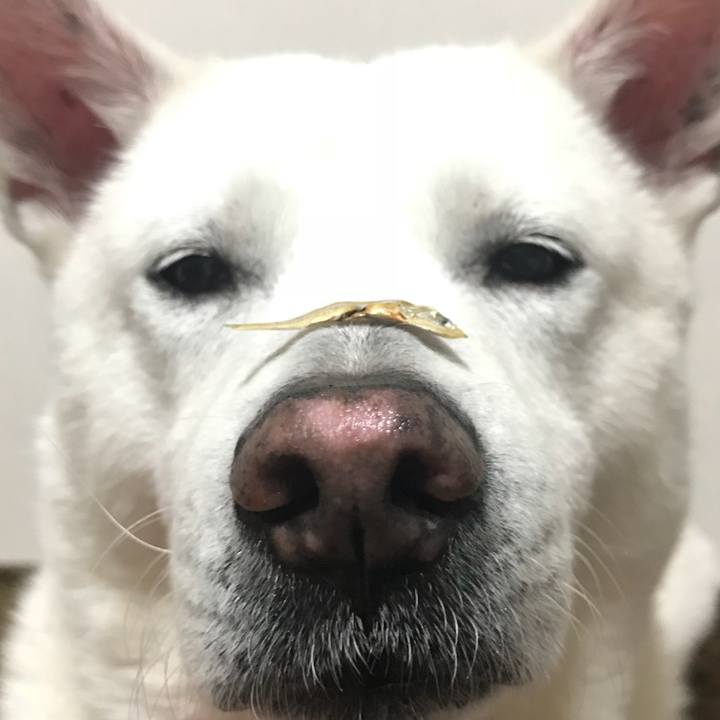 385d6e05 e350 4262 b2b4 415c899cf01d 1524406862529