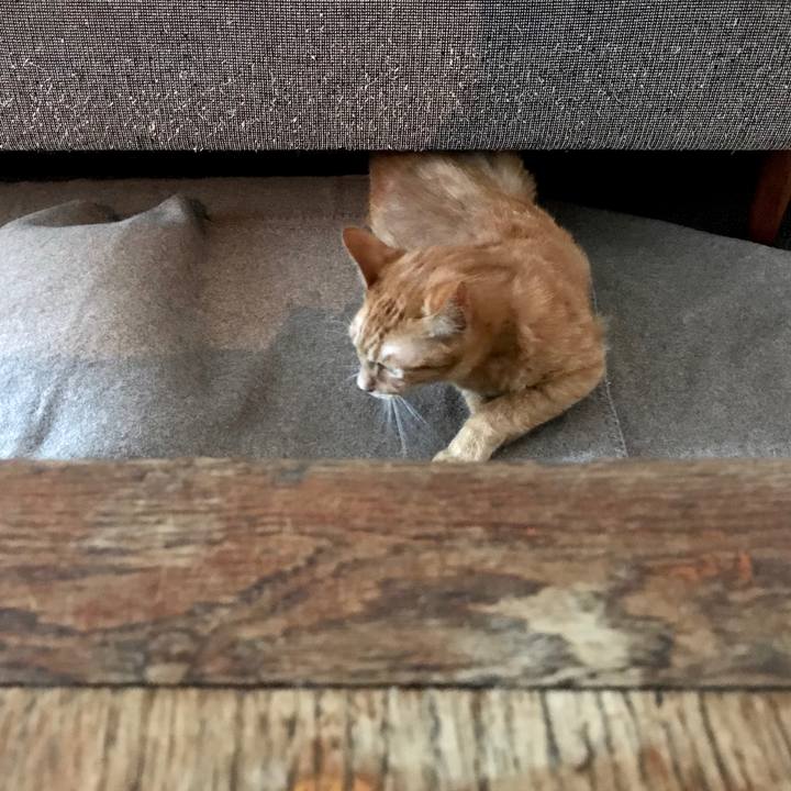 385dbea3 a698 4802 b6c6 14776eff1480 1547777345396