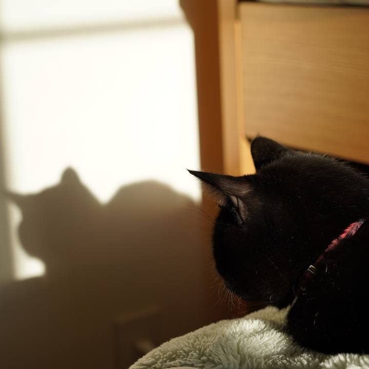 385dc947 4b90 4c87 ac78 7ccf71d1f6ab 1575023375718