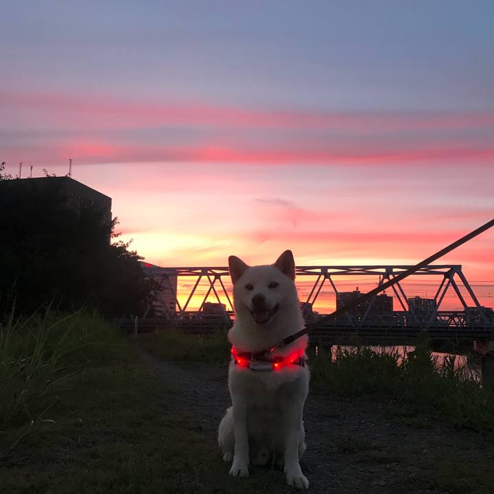 385dcdcd 2dc3 491f afc3 982057805436 1534585632856