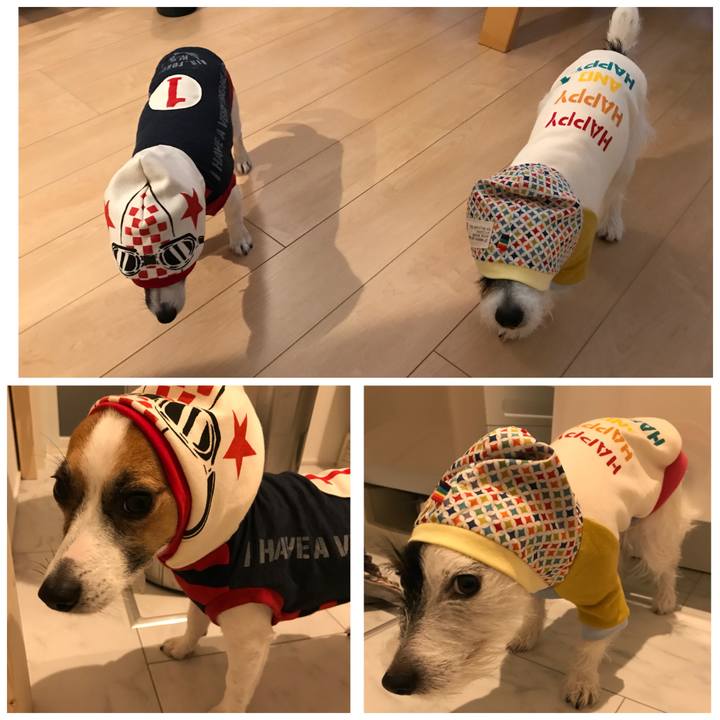 385de319 def9 43a7 9317 c6fe58c0f9cb 1509453970235