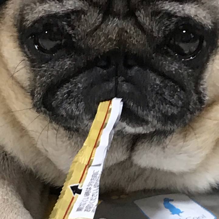 385de6f3 4964 4aaf ac7e 45c1c7ea942f 1594035325778