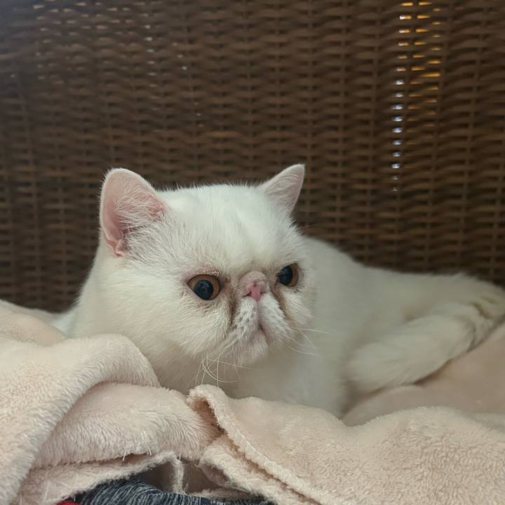 385df2db 7cae 49e7 8246 f328f5a7f857 1759554084610