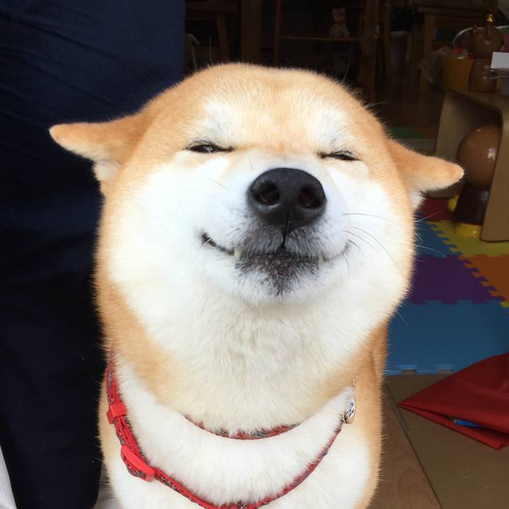 385e5fad 8149 4997 ba3c 707c4cfa4bca 1540169973741