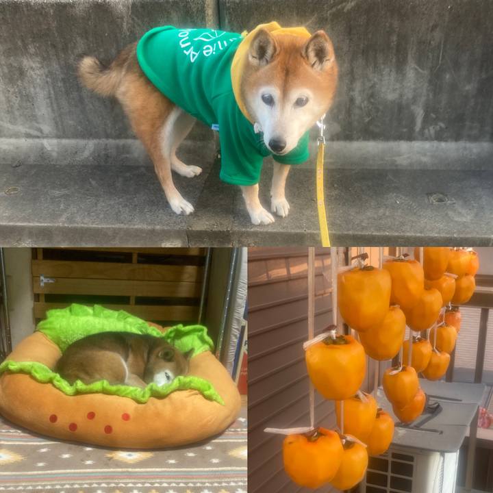 385e6b2d cfdc 4f94 97c2 79ba4830d5df 1764760953678