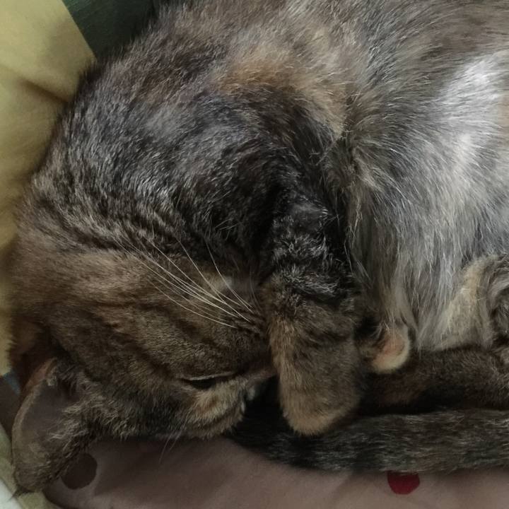 385ebbca 00c9 4e36 b856 ebc48271dfac 1528898829152