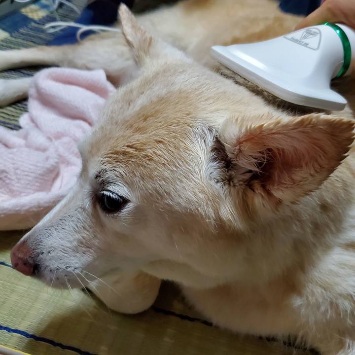 385ed691 1fb7 4683 83d4 5c41ee297dcc 1622286938812