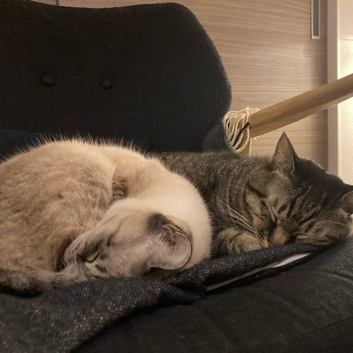 385efb1b a021 4f7a 8db9 159a99a39a67 1634979783202