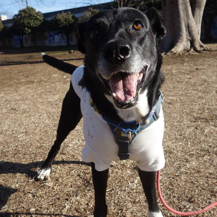 385f0b29 529a 43ff 9404 e8dceabedc63 1707702013947