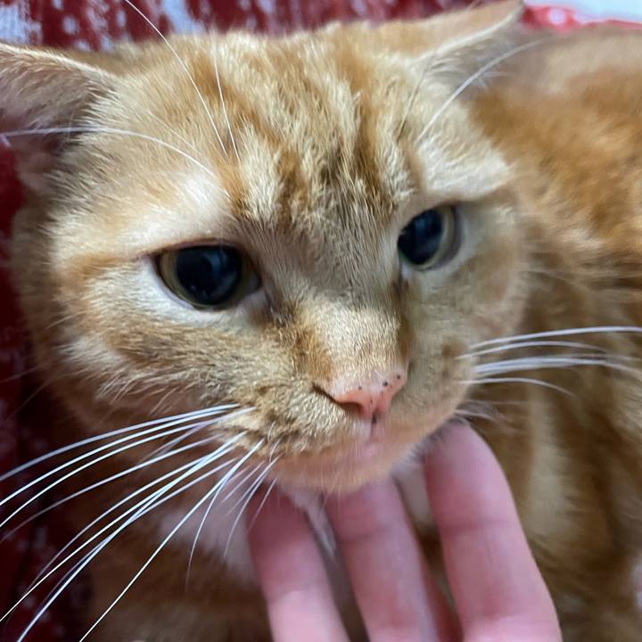 385f504d ce3d 4d74 9c01 c38de2745bea 1641295646488