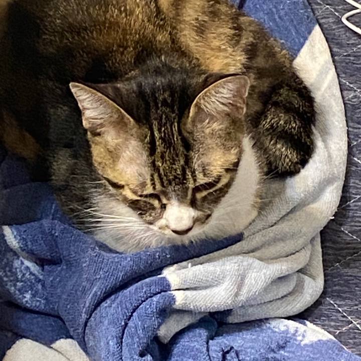 385f64d9 ed81 4ad0 89b4 b921af17bbcc 1602043181106