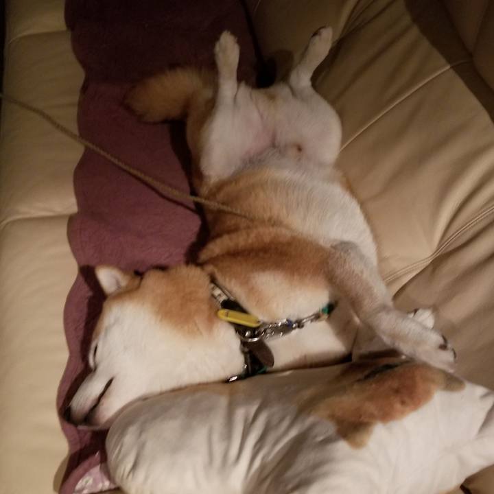 385f7da8 3a31 4565 89b0 510ba7a31b61 1602858845259