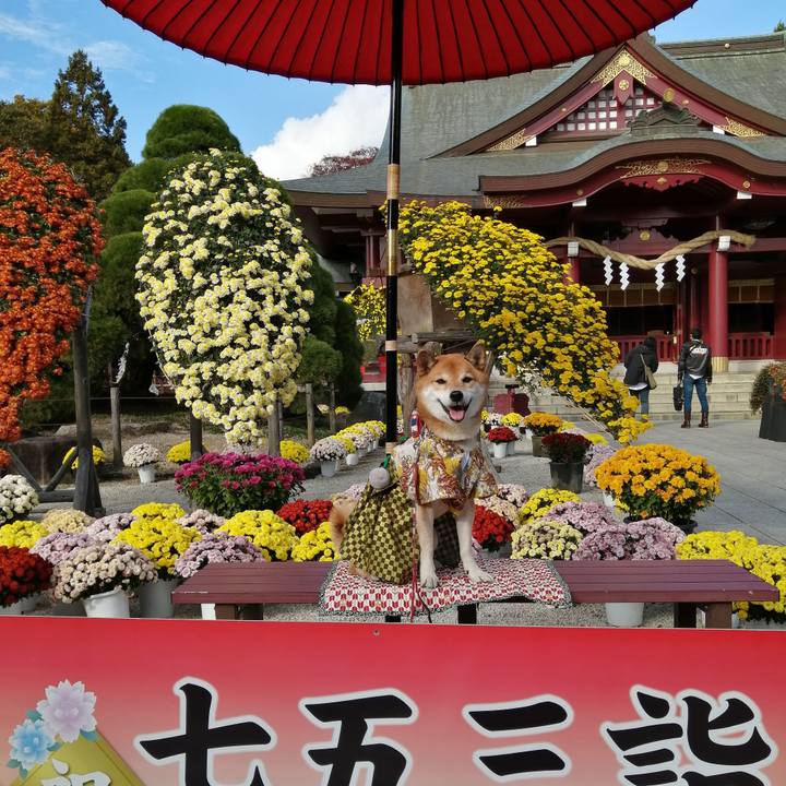 385f9734 a424 4fb2 b3aa f11e01d0b286 1667963442594