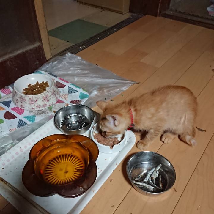 385fb4ce aa26 4375 9a04 7b3615835b73 1630612893319