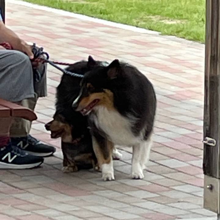 386079eb 4249 4386 a7c4 9de126fbaa88 1626920120949