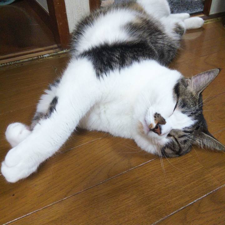 3860a28c b7df 48a0 a982 1f8ff5e45850 1663331791697