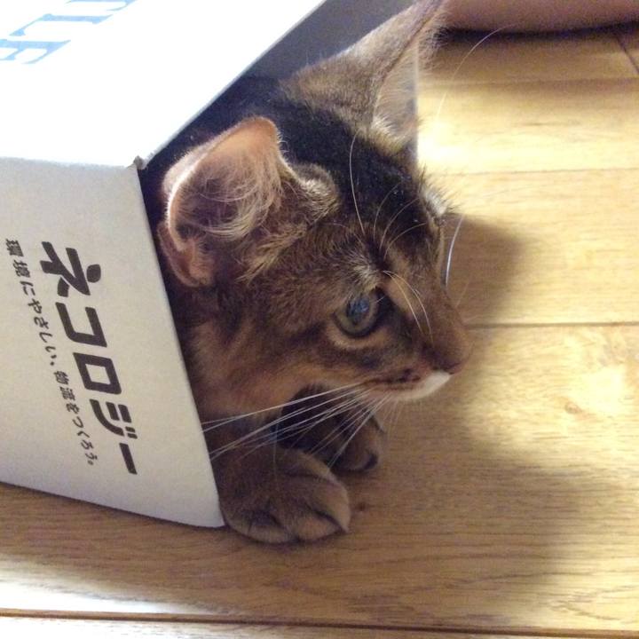 3860a822 a686 4e12 9d4e b39011fc0e33 1565795939310