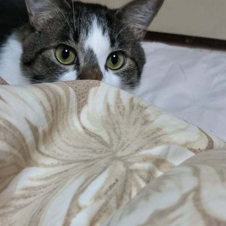 3860abb7 fb26 44c3 89bf 7bd3cc9e5ee6 1602504529531