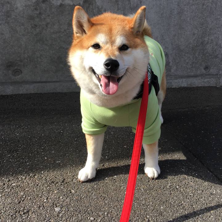 3860c995 1128 43b0 88f2 a418f852eda8 1575515363352