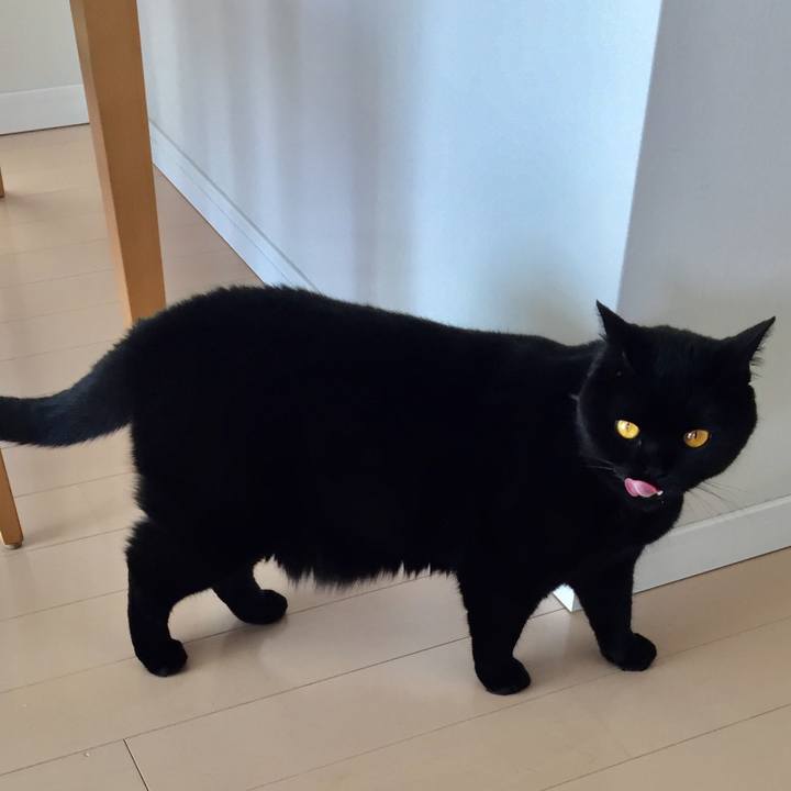 3861274d 4e1d 4d8c a04a 371db5bc998d 1561002259082