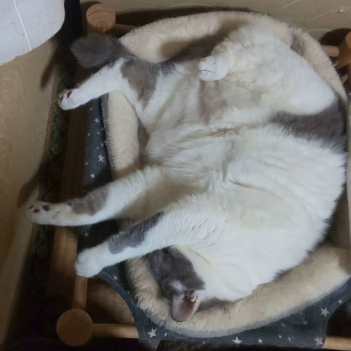 3861a11d b766 4c4c a891 d2e6f7d2af80 1750774325934