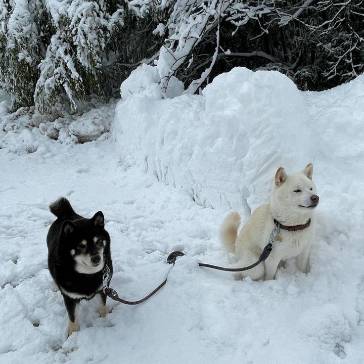 3861eabe 5ceb 4bcd 8ba0 89b58742db23 1722664308413