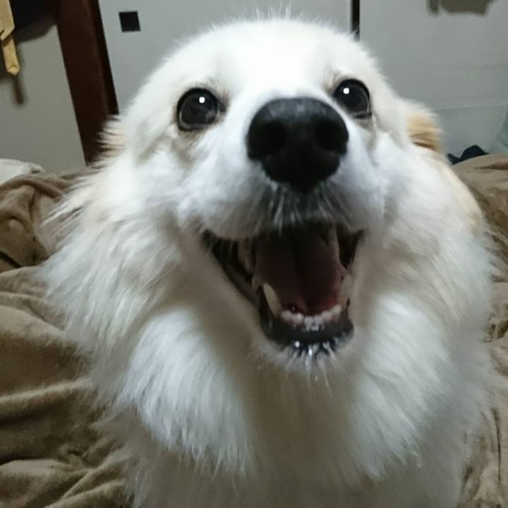 3861f259 1a64 4bcf bd06 50864d41d507 1508673587692