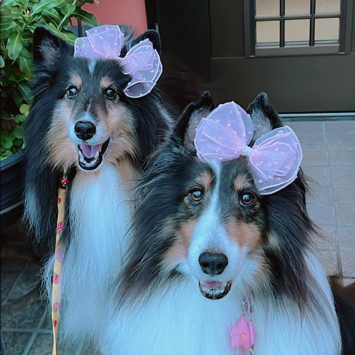 38623874 7868 4189 b74f a8f139970b26 1695489158756