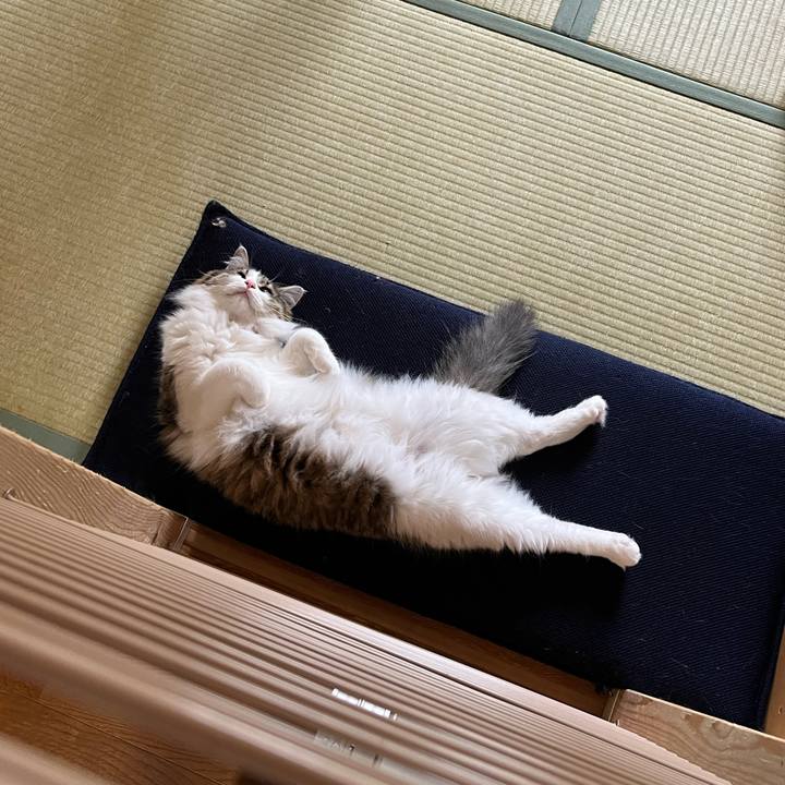 38628f33 231b 4987 bf32 a29f18919569 1718608247451